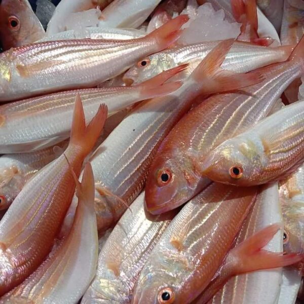 Sankara Fish 1Kg