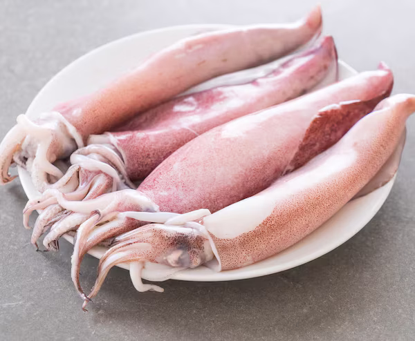 Squid 1Kg