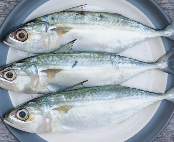 Indian Mackerel/ Bangda 1Kg